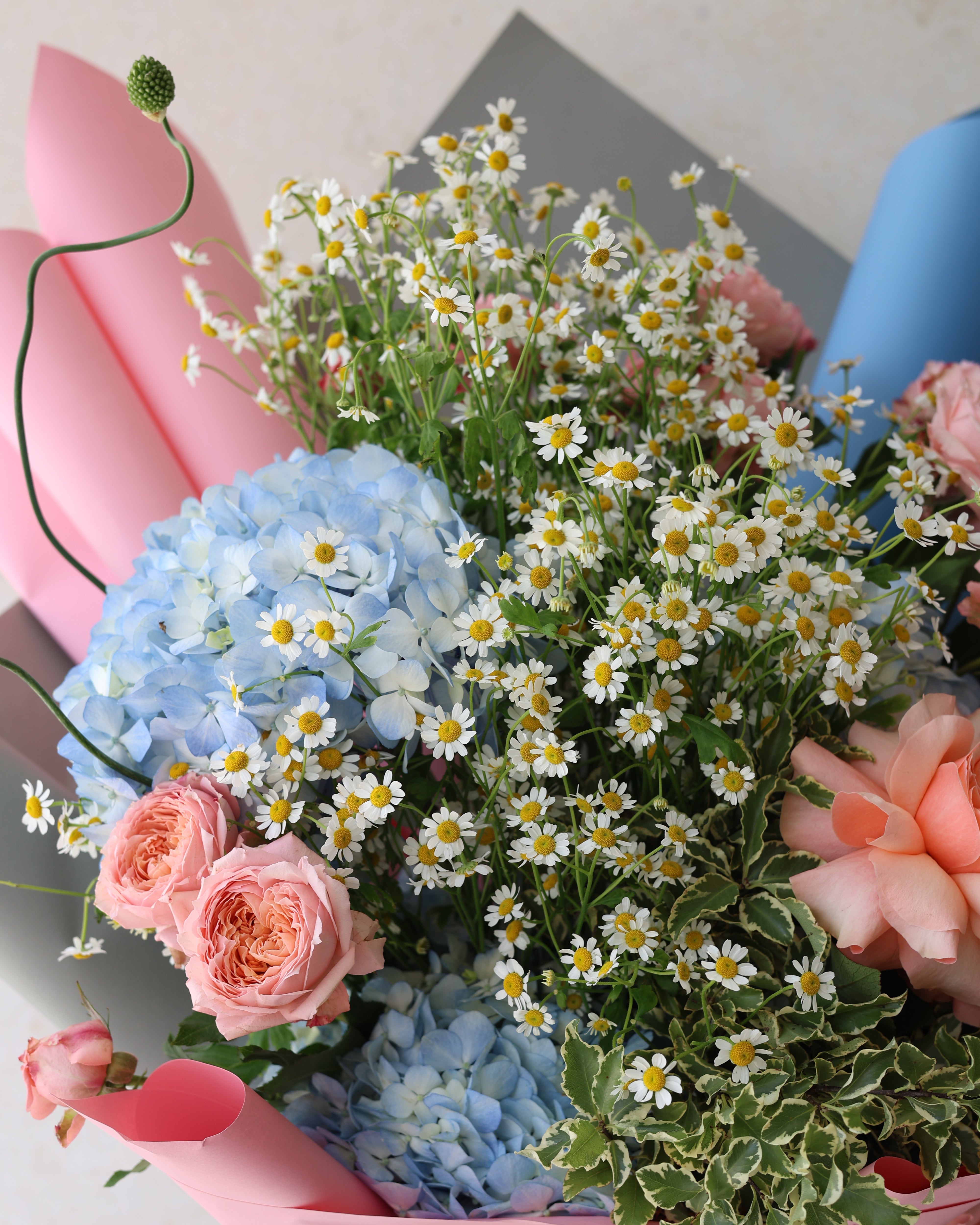 POWDER FLOSS - MEIDIUM BOUQUET