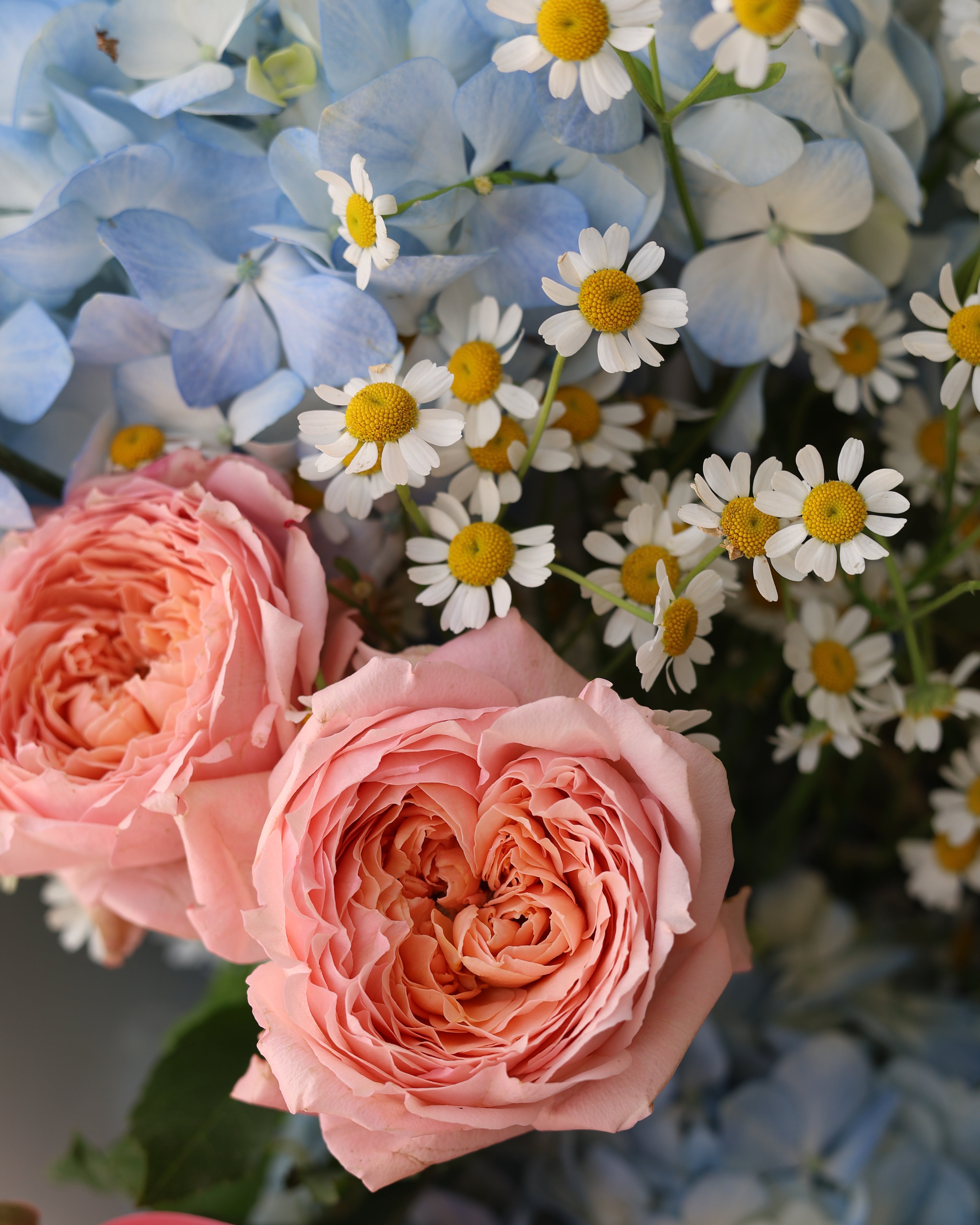 POWDER FLOSS - MEIDIUM BOUQUET
