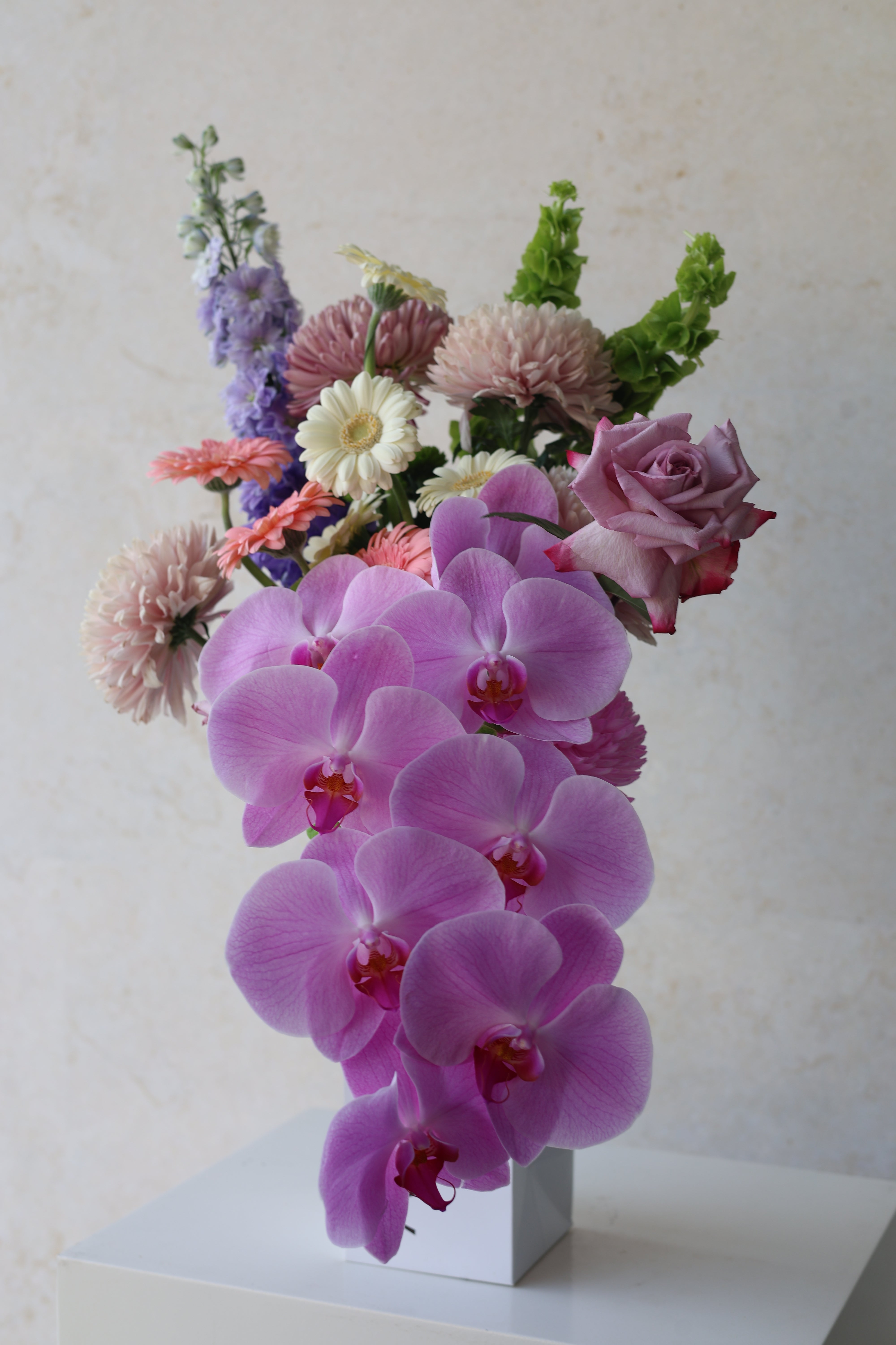 NOT YOUR ORDINARY - BUNCH BAG