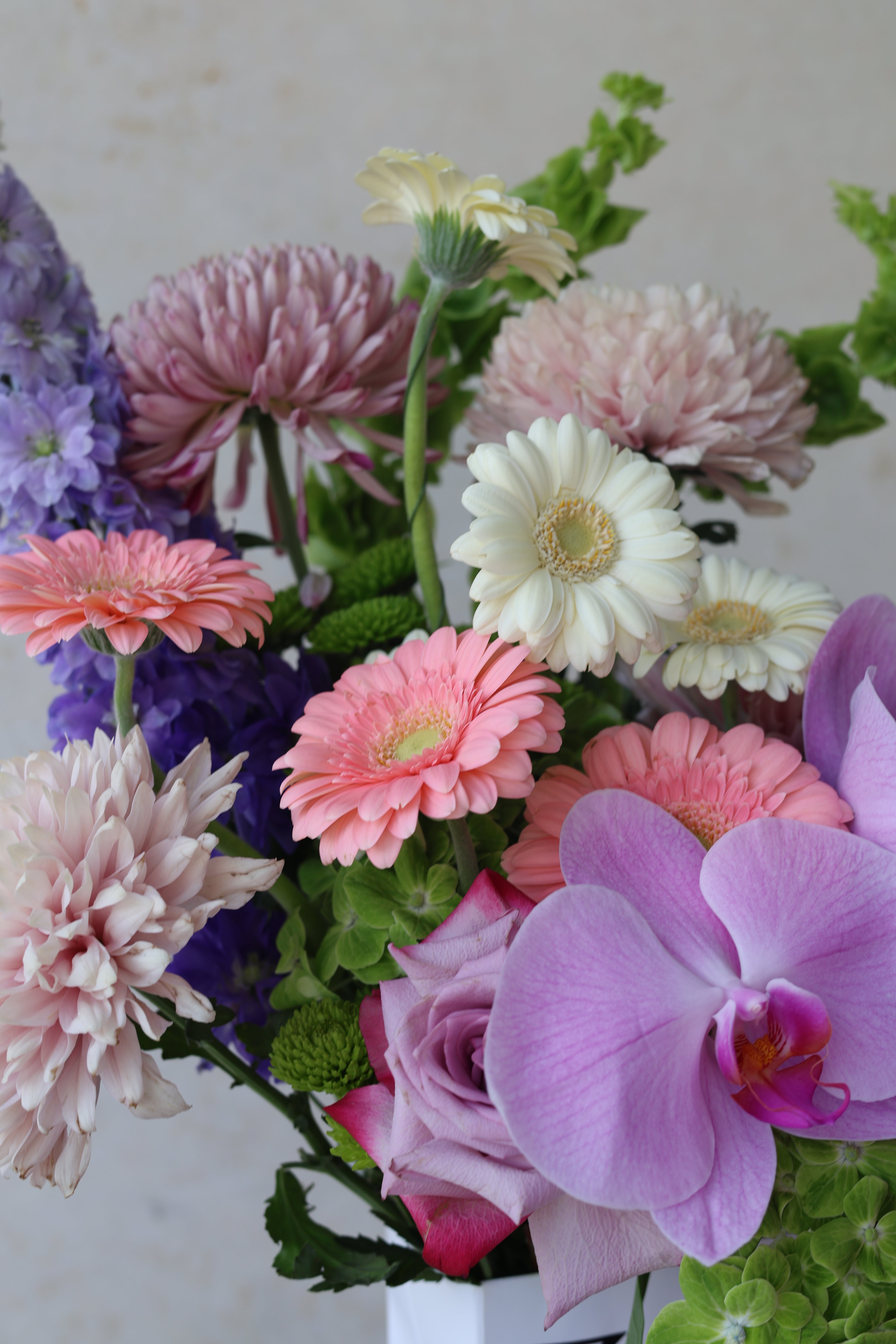 NOT YOUR ORDINARY - BUNCH BAG