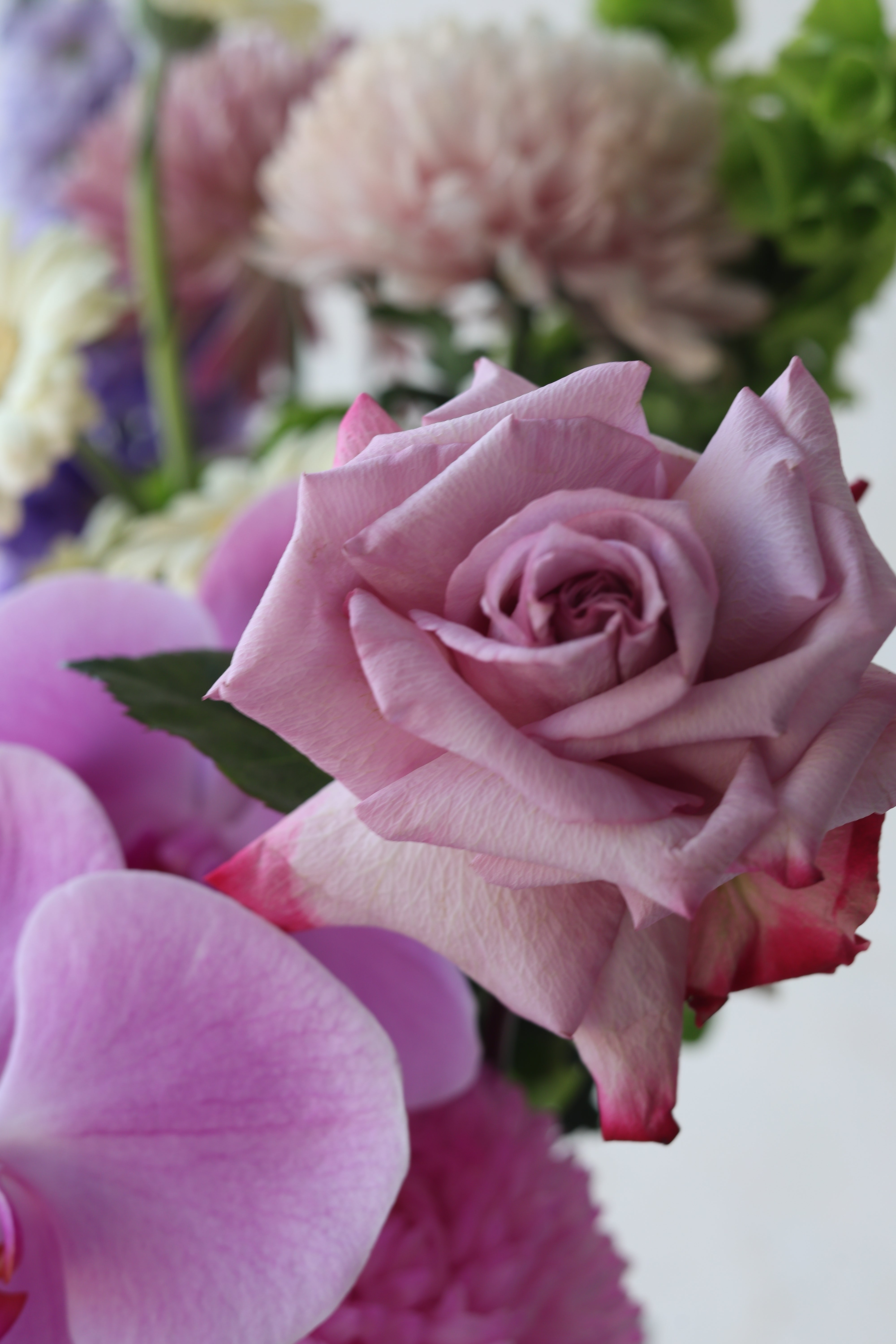 NOT YOUR ORDINARY - BUNCH BAG