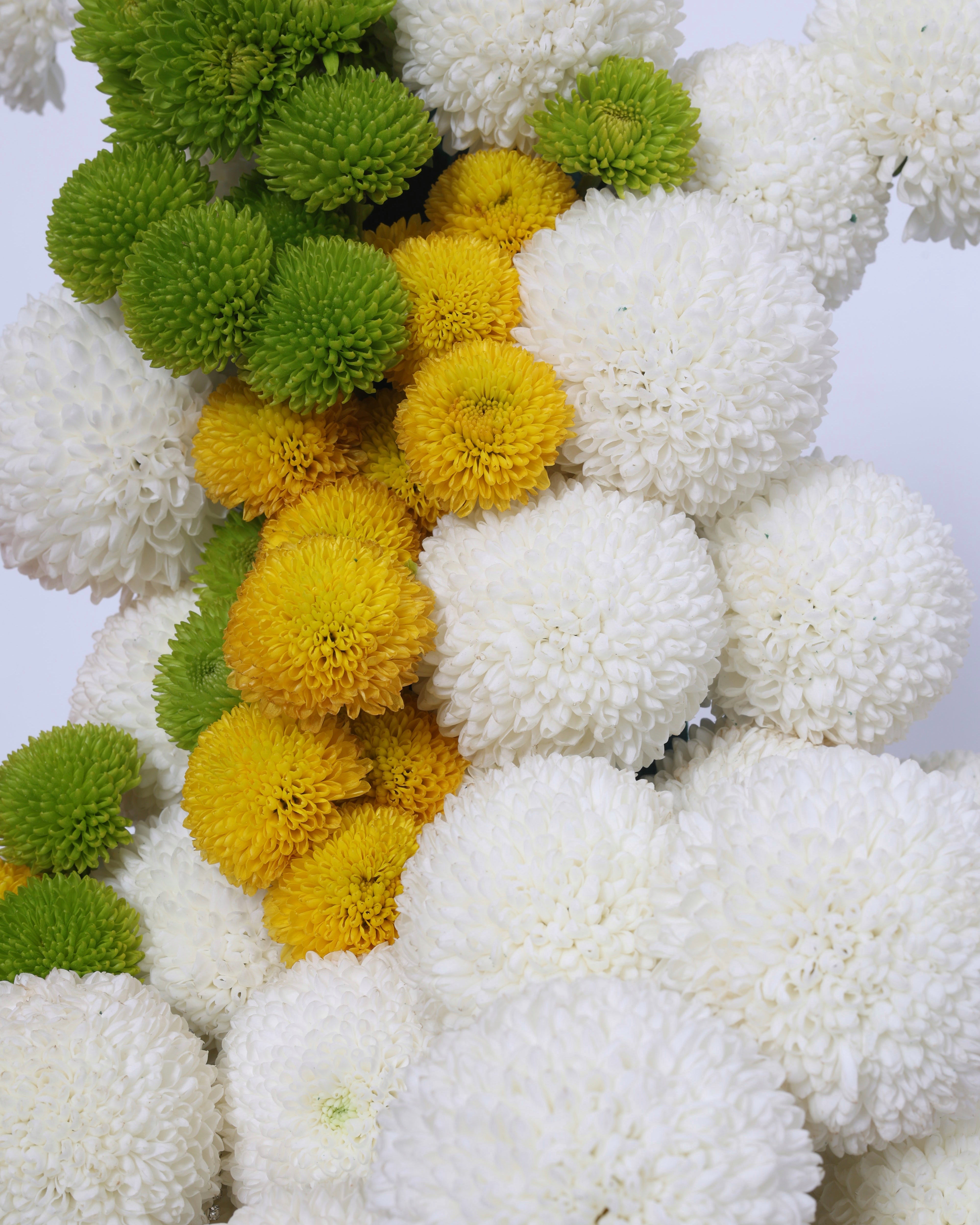 snow above Machu Picchu - VASE ARRANGEMENT