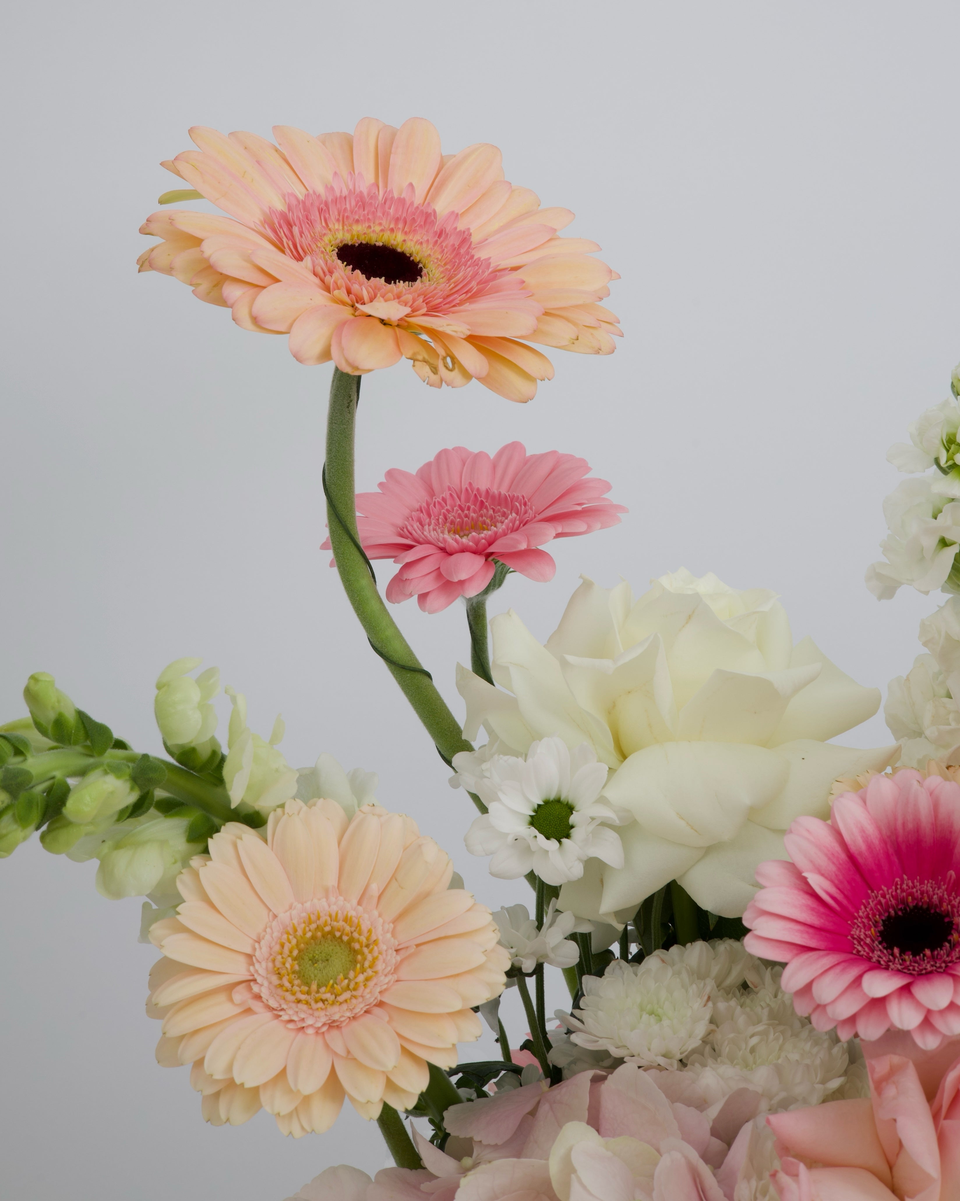 mix flowers BUNCH BAG