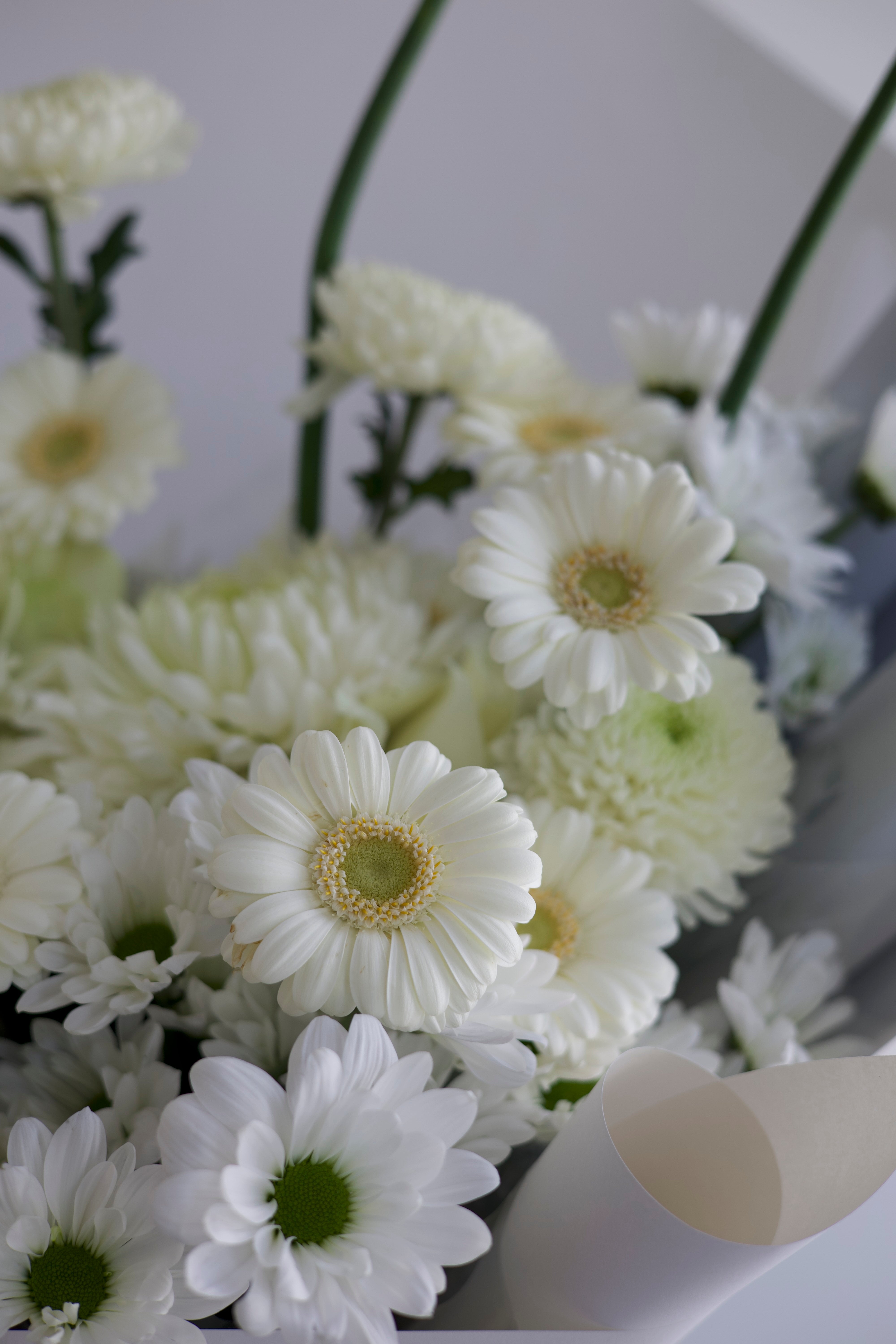 SNOWY - MEIDUM BOUQUET