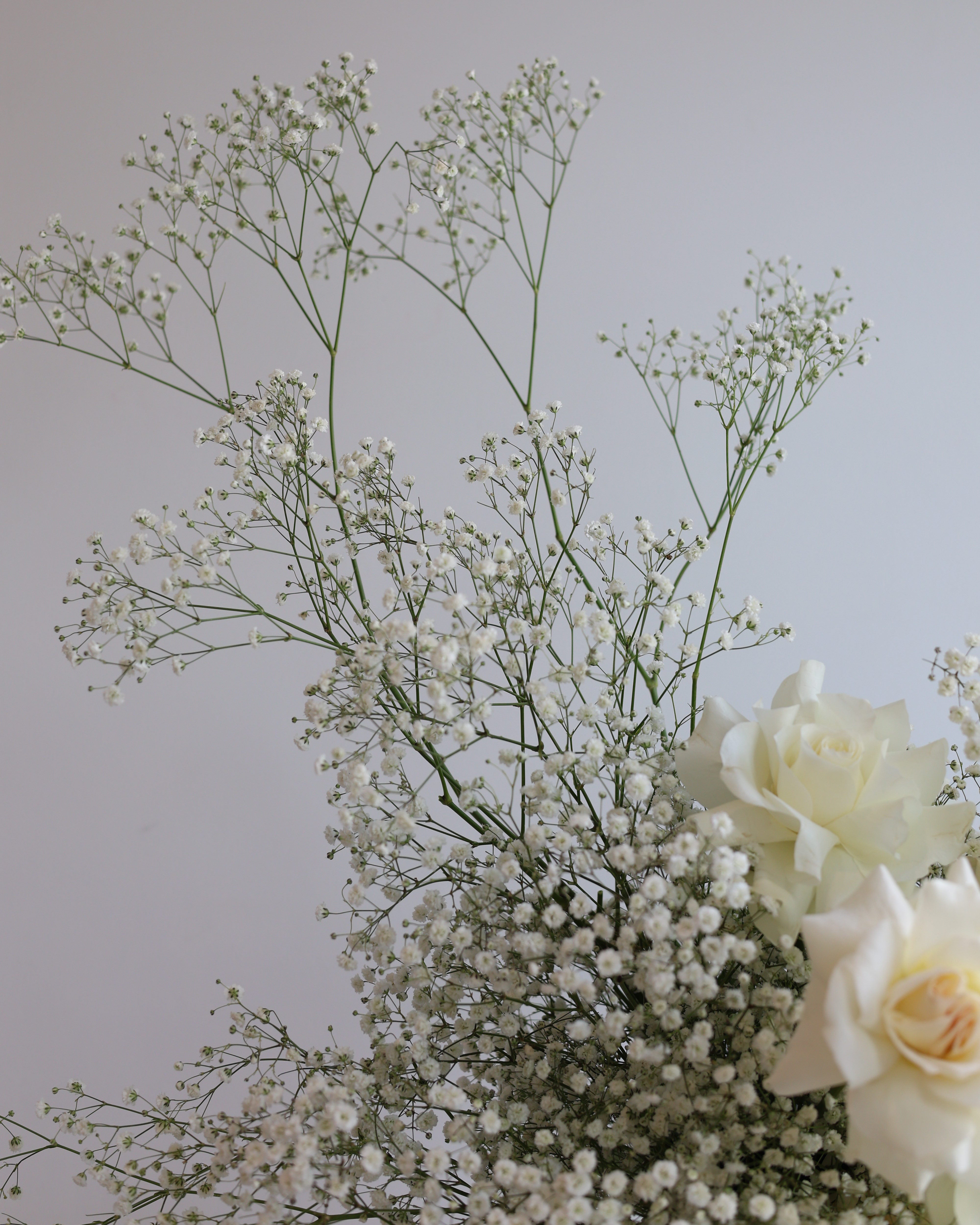 BREATH - VASE ARRANGEMENT