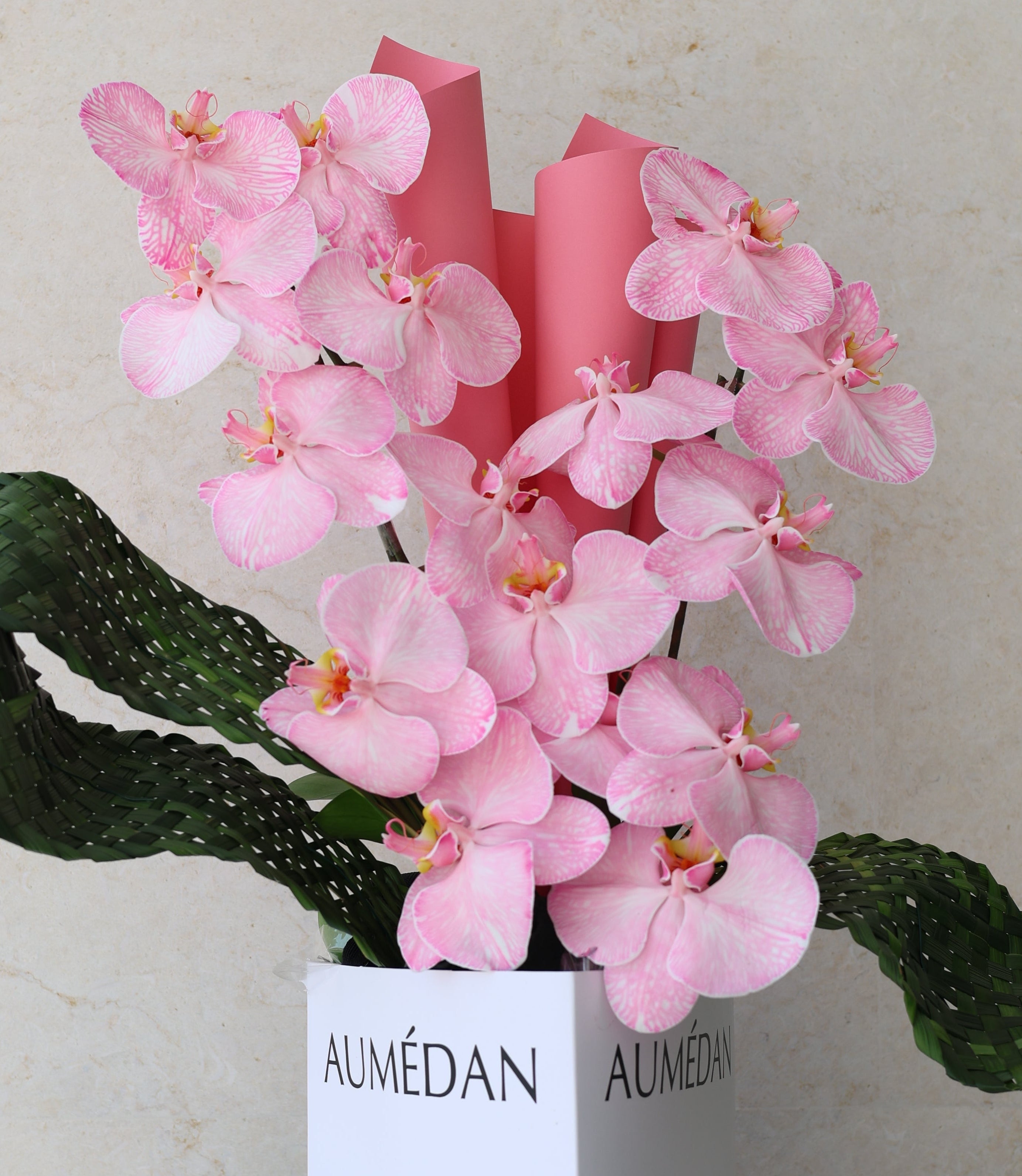 PHALAENOPSIS CANDY - TRITOTE BAG ARRANGEMENT