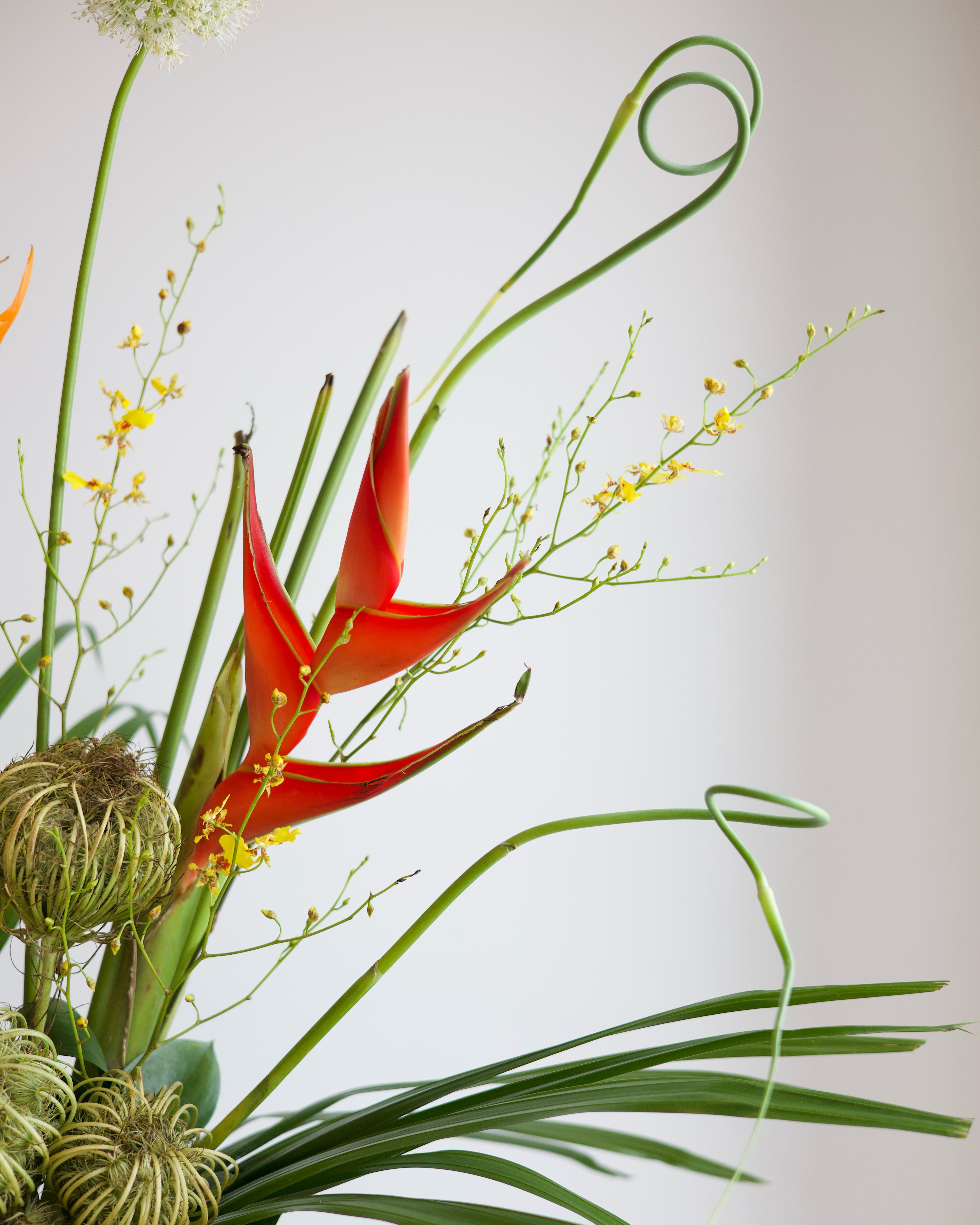 Lipstick Jungle - VASE ARRANGEMENT