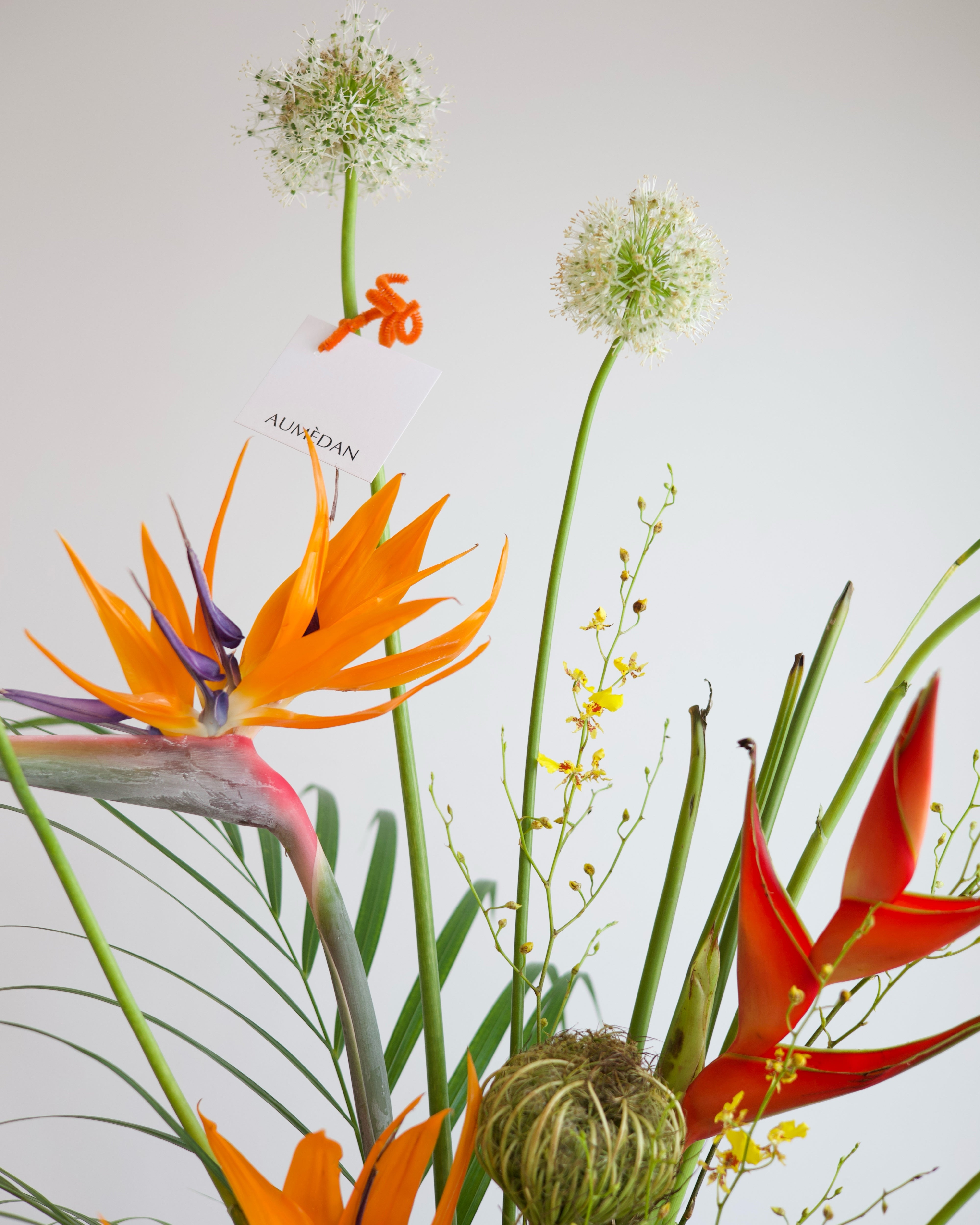 Lipstick Jungle - VASE ARRANGEMENT