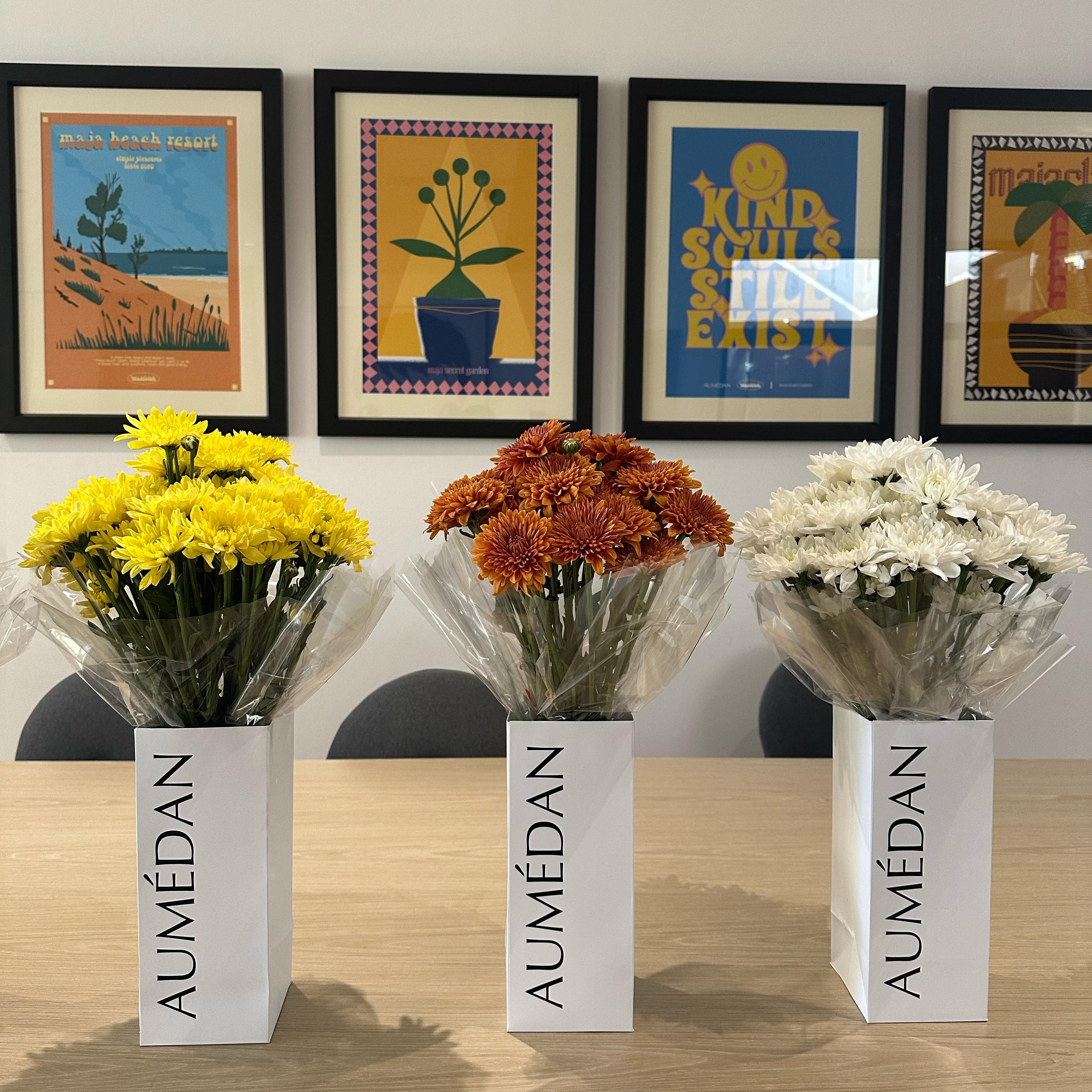 CHRYSANTHEMUM - BUNCH BAG