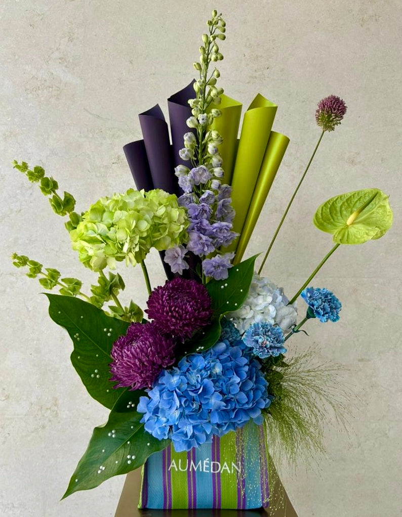 OUTER SPACE - AUMÉDAN ÉPURE