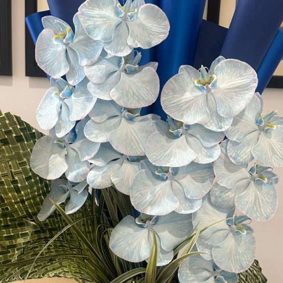 PHALAENOPSIS SEA - TRITOTE BAG ARRANGEMENT