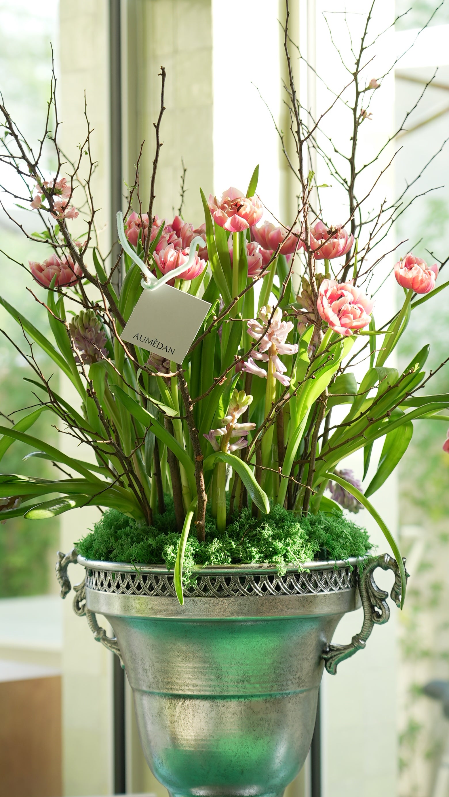 Pink Pantone - All Around arrangement