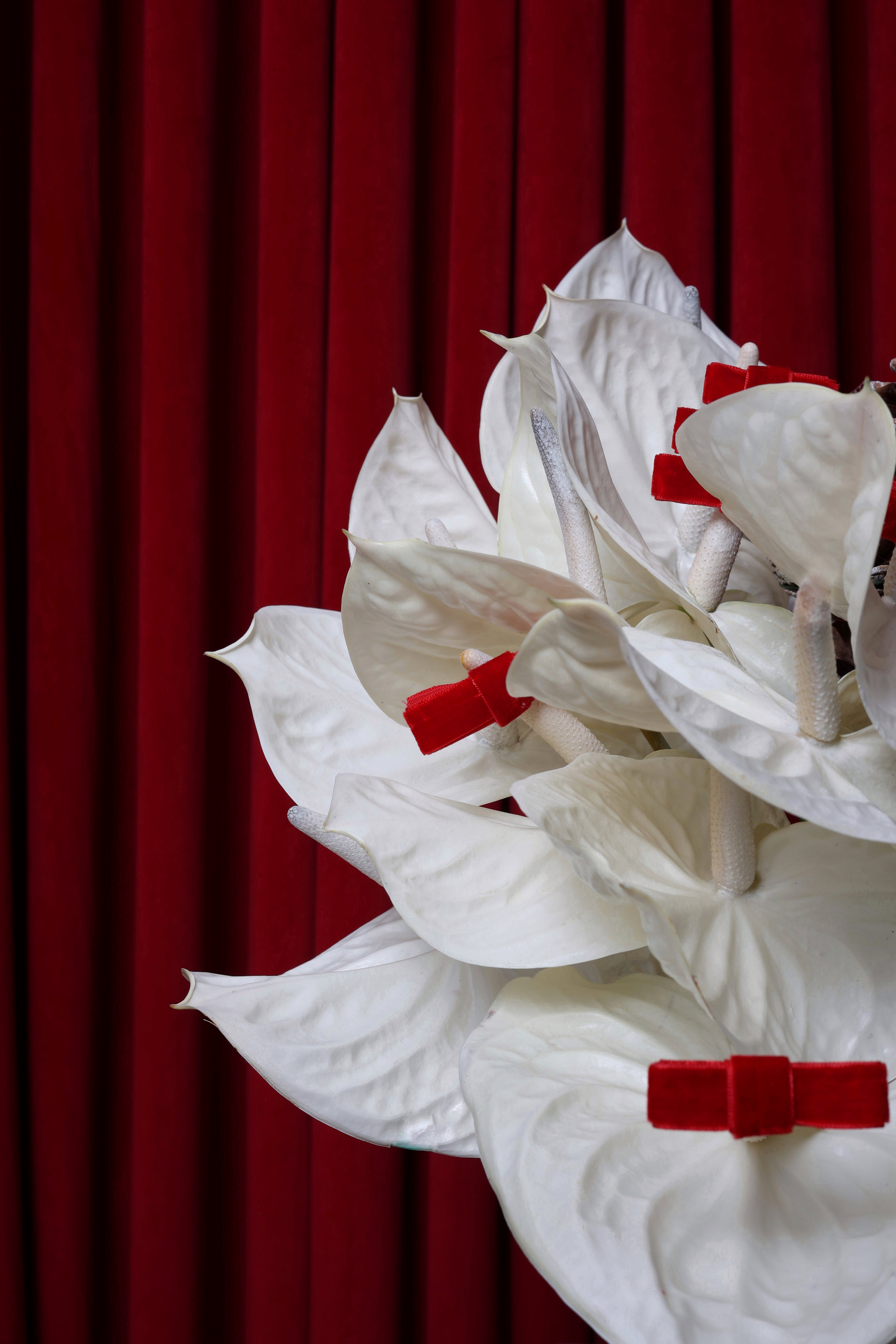 WHITE WINTER WOODS - VASE ARRANGEMENT