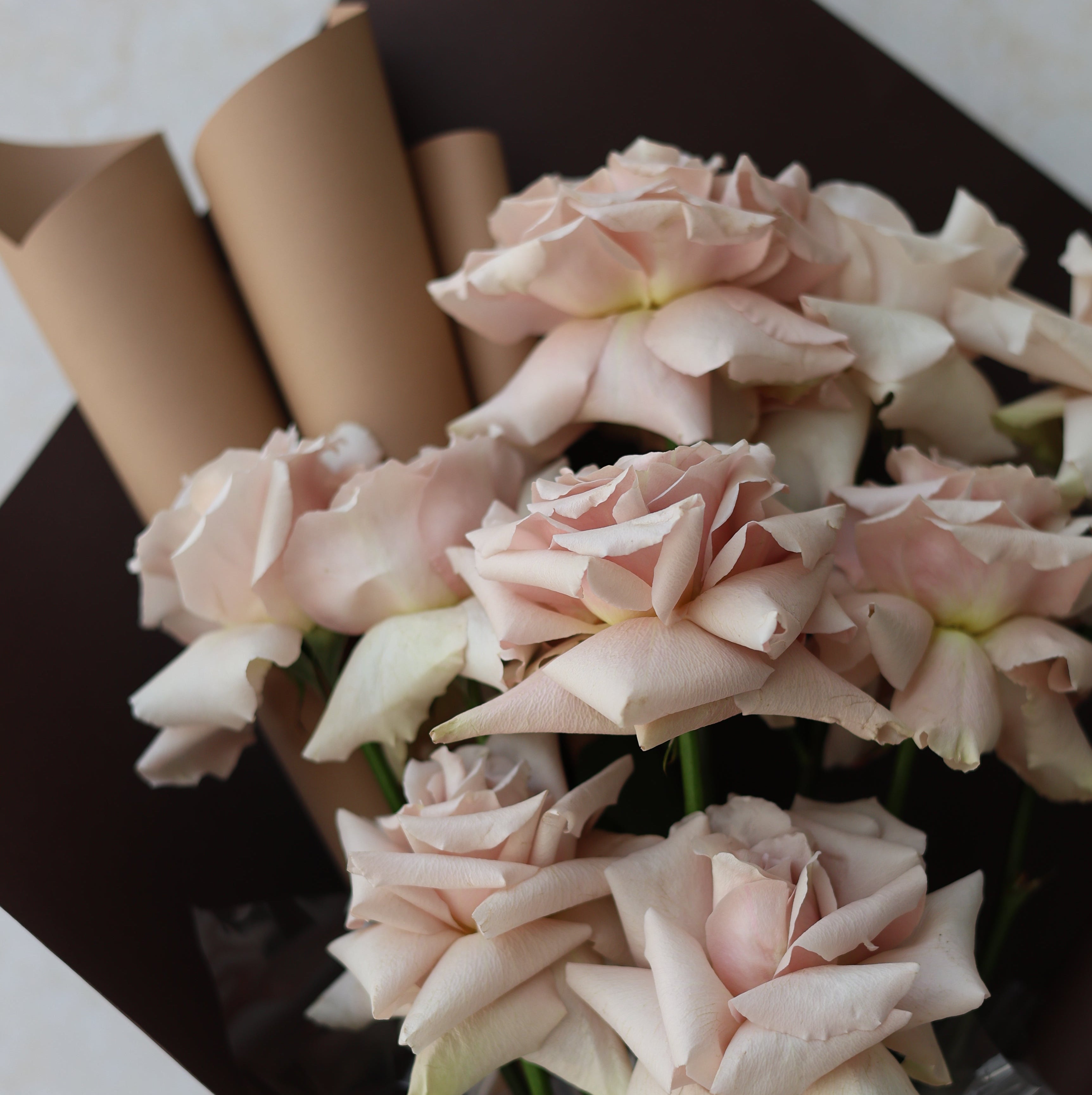 ROSE BLISS -  HAND BOUQUET