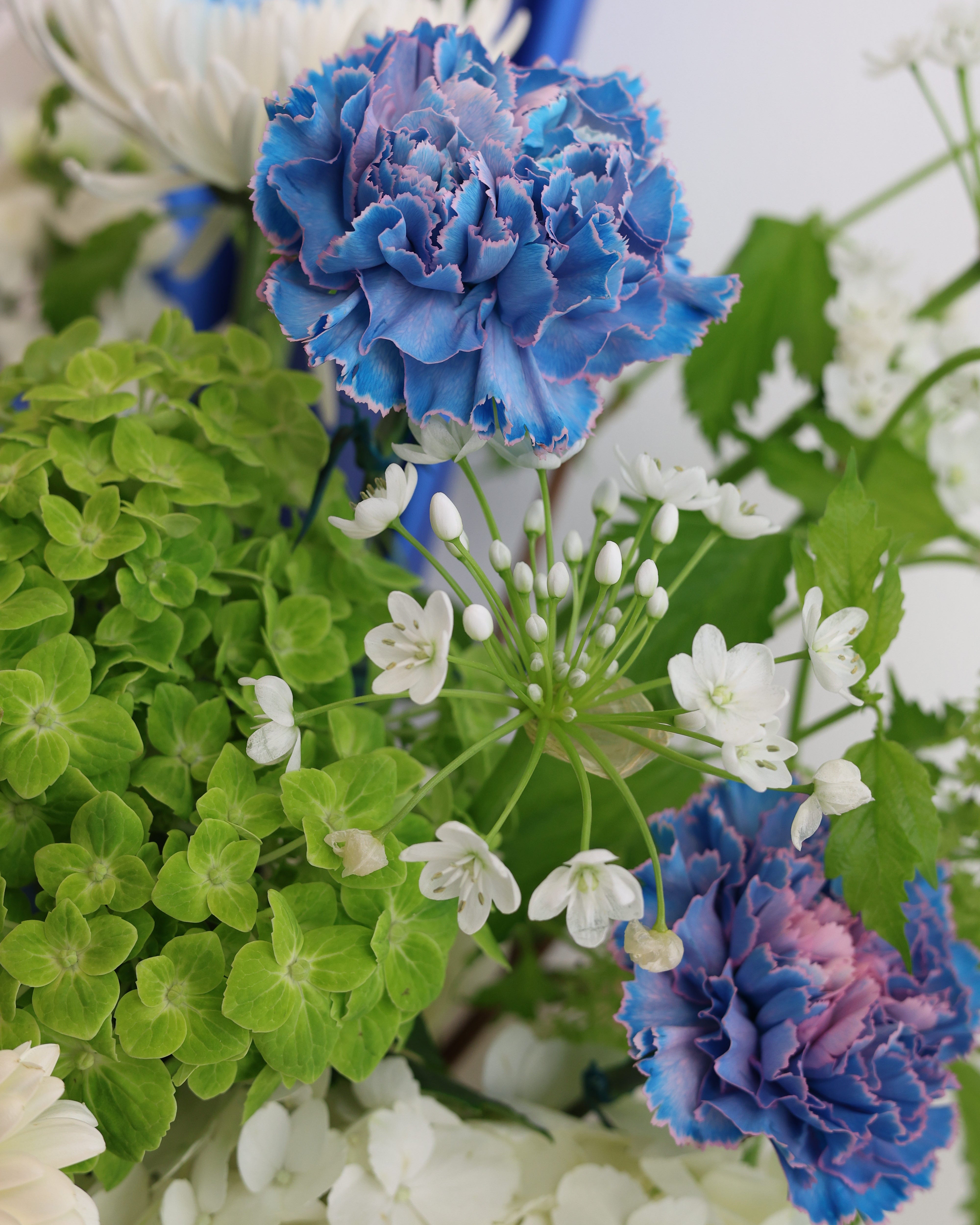 tide and terrain - VASE ARRANGEMENT