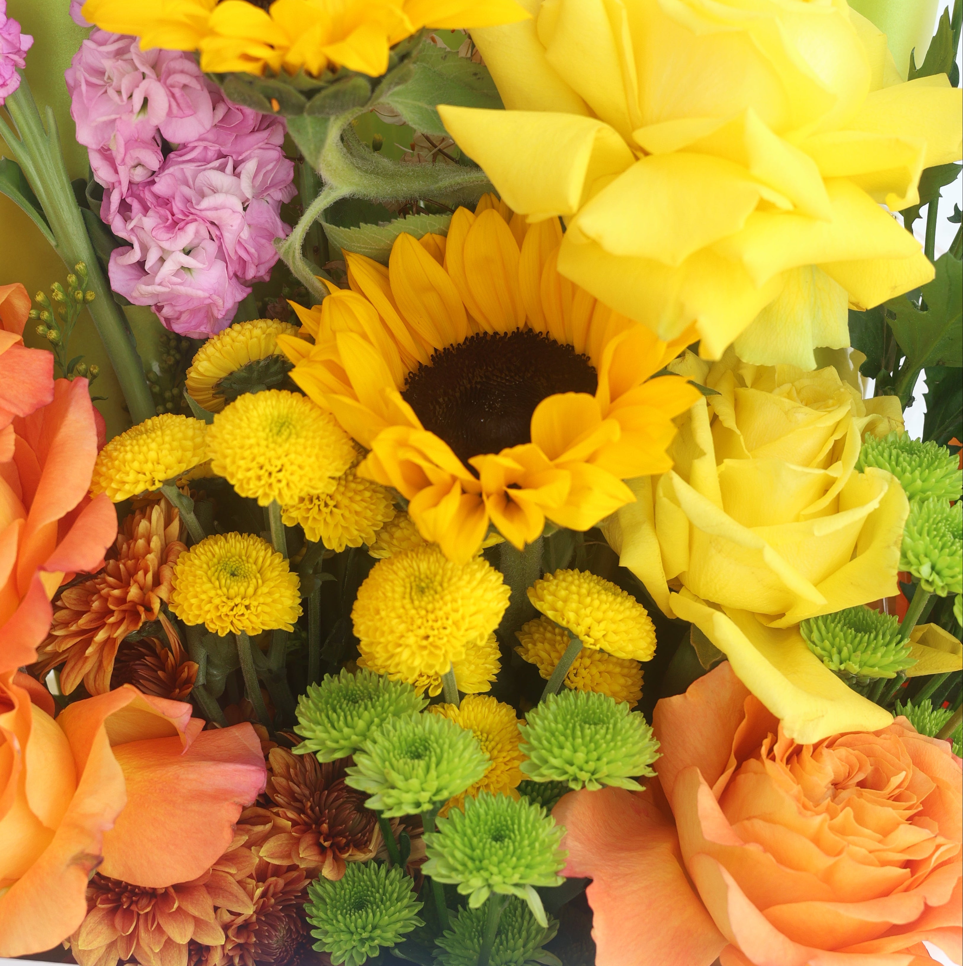 CHASING SUNSETS - SLEEVE BOUQUET