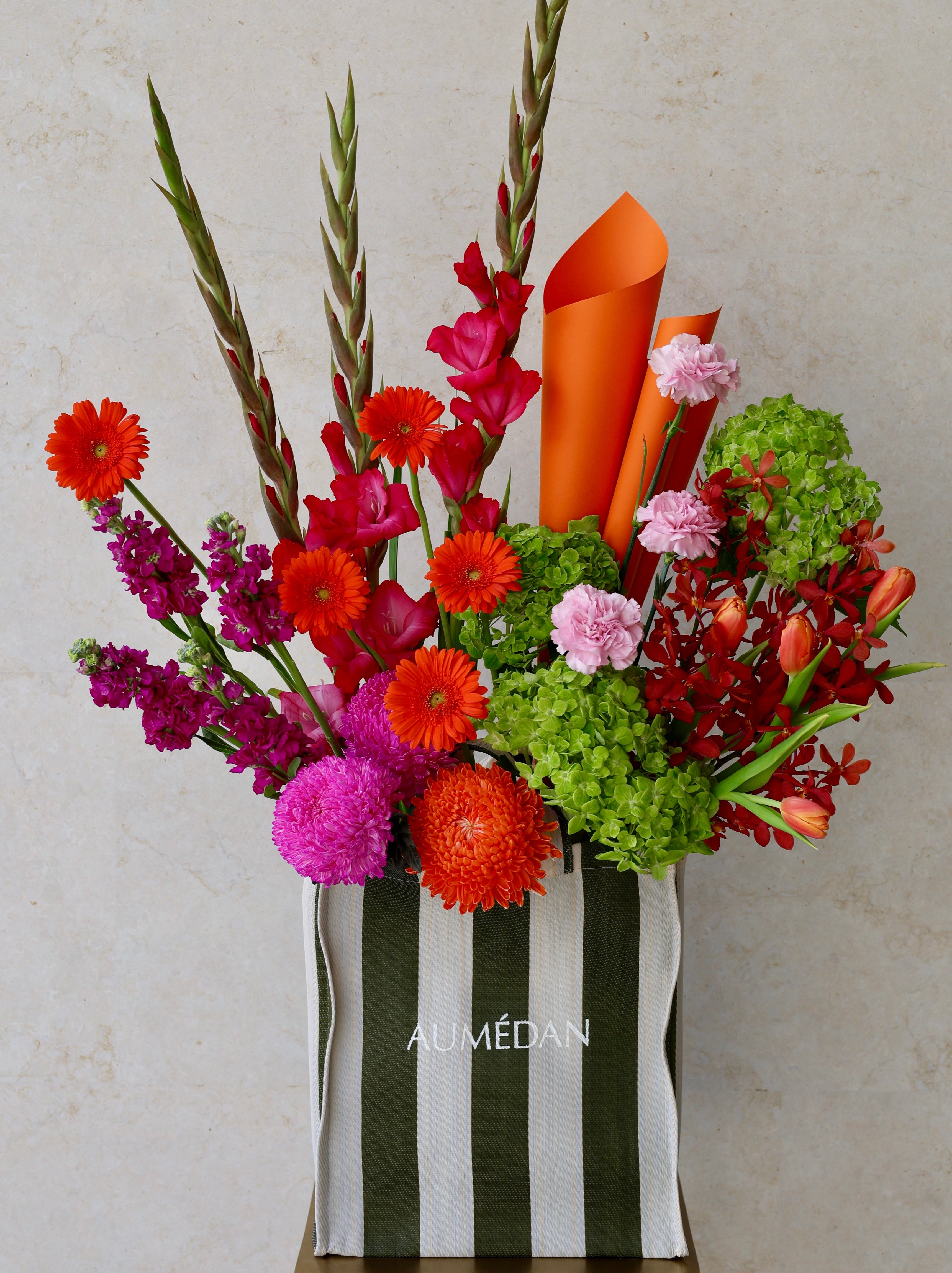 Top Notch - AUMÉDAN ÉPURE