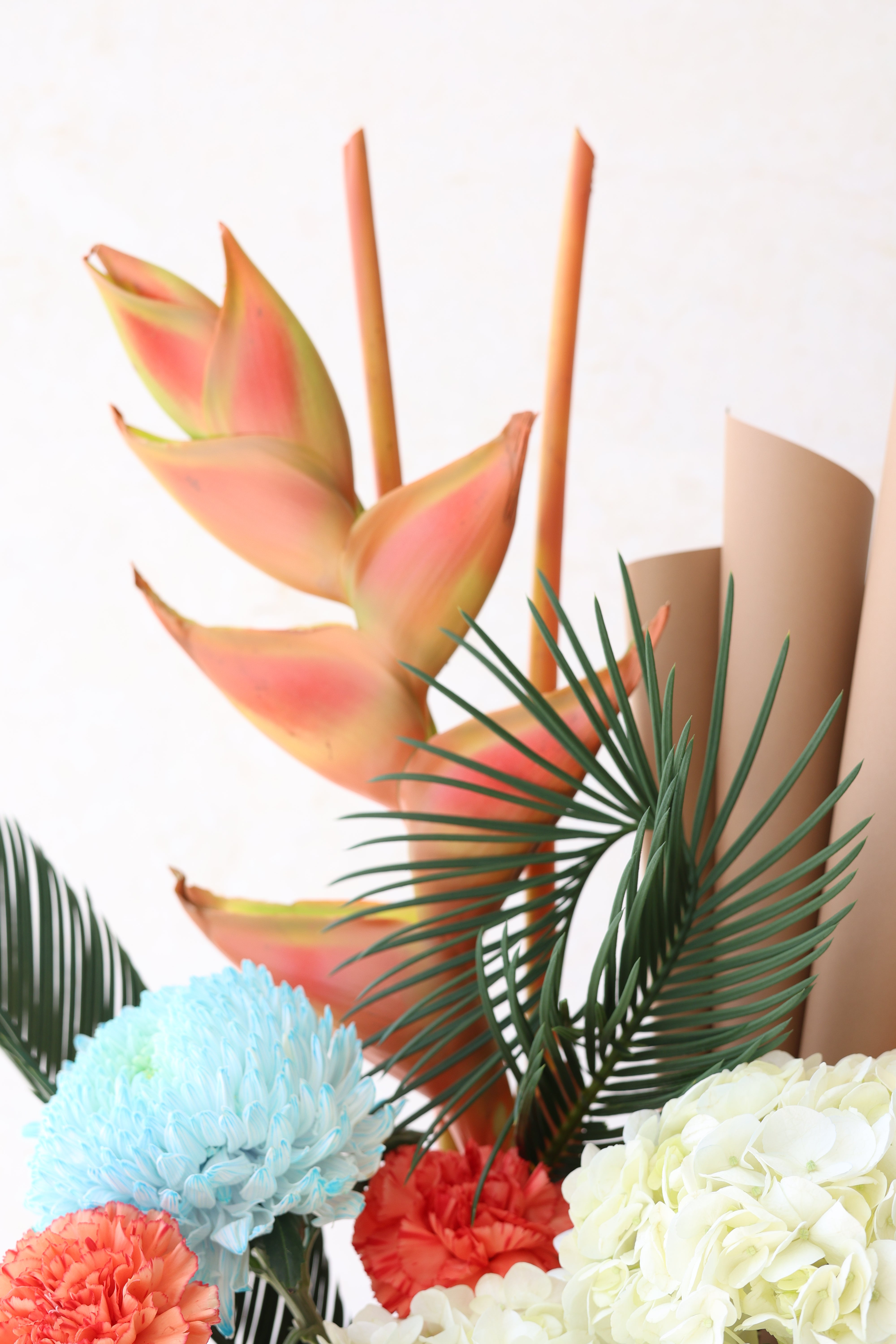 TROPICAL MIST - AUMÉDAN ÉPURE