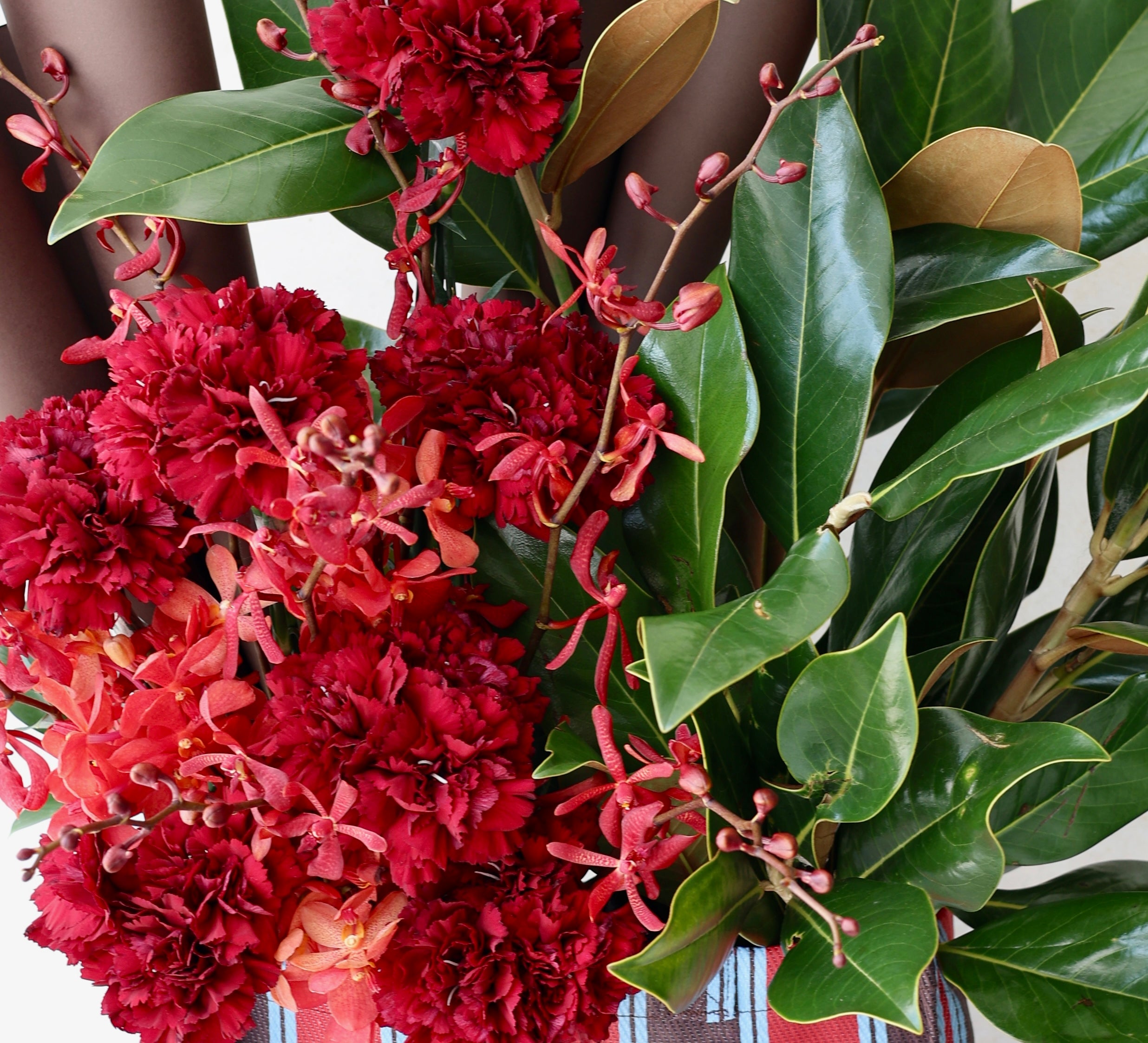 Fire crush - AUMÉDAN ÉPURE