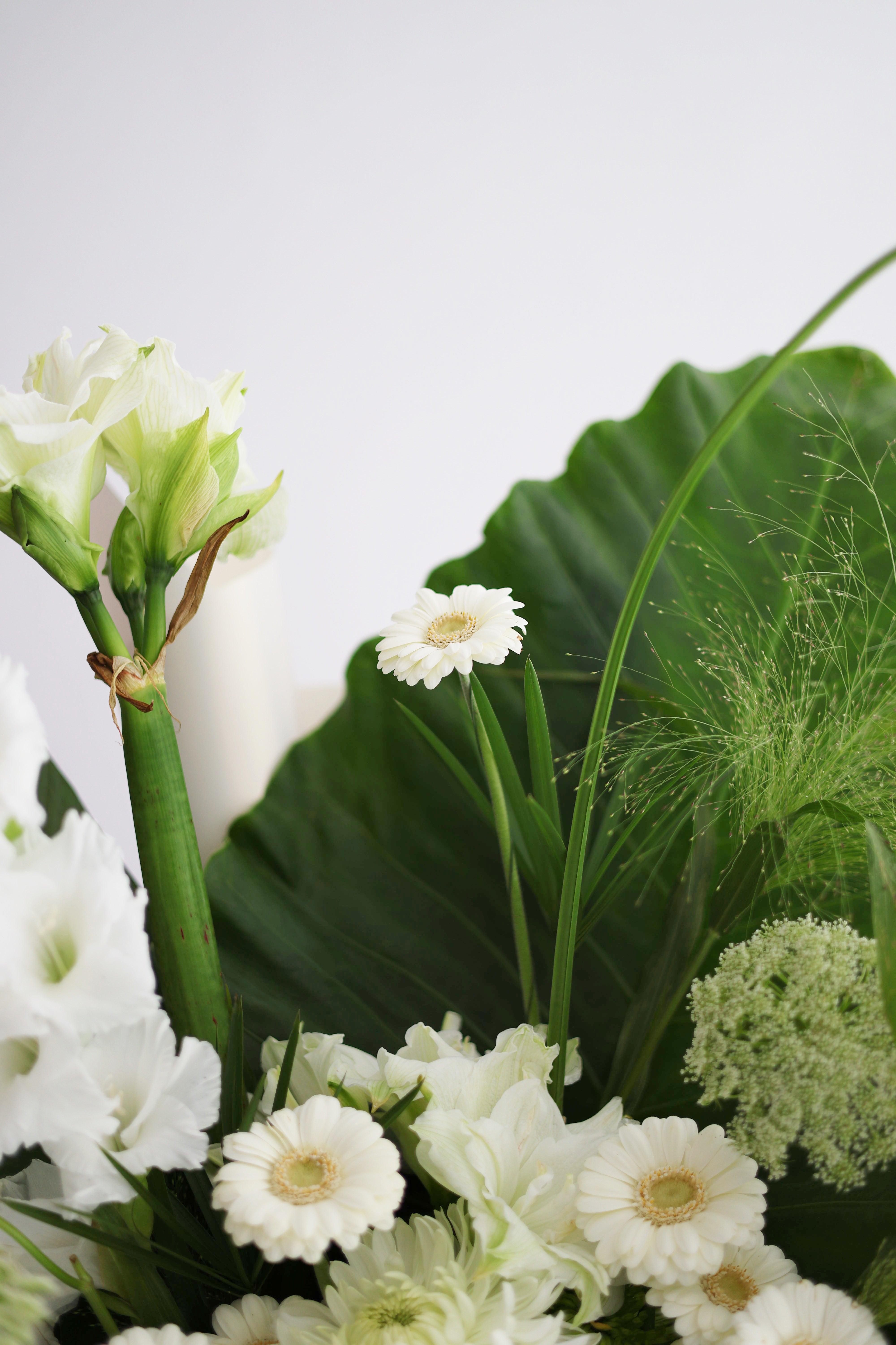 LUSH ICE - SLEEVE BOUQUET